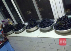 自制葡萄🍇酒🍷的做法图解2