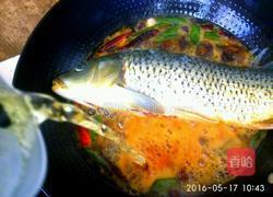 啤酒炖鲤鱼的做法图解4