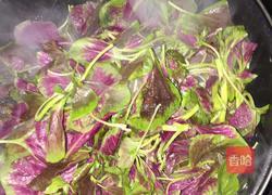 蒜蓉苋菜的做法图解4