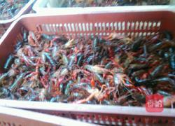 清蒸小龙虾的做法图解1