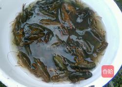 清蒸小龙虾的做法图解2