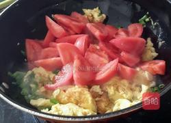 鸡蛋炒柿子的做法图解5