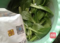 生炒油菜的做法图解1