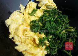 刺老芽炒鸡蛋的做法图解7