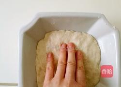 椒盐发面饼的做法图解9