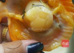 豉油蒜蓉蒸扇贝的做法图解5