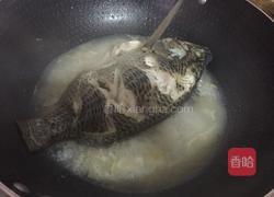 清炖罗非鱼的做法图解6