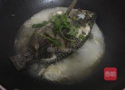 清炖罗非鱼的做法图解7