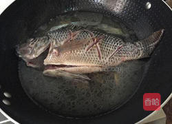 清炖罗非鱼的做法图解5