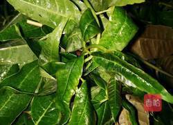 酥炸香椿的做法图解1