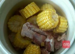 排骨炖玉米的做法图解4