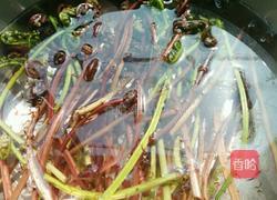 凉拌蕨菜的做法图解2