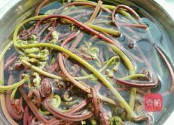 凉拌蕨菜的做法图解4