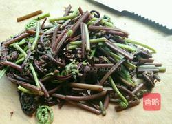 凉拌蕨菜的做法图解5