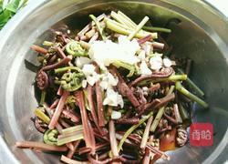 凉拌蕨菜的做法图解8
