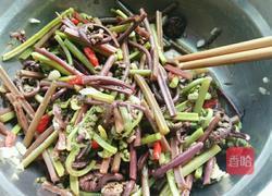 凉拌蕨菜的做法图解9