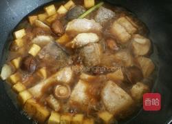 豆腐烧鲢鱼的做法图解9