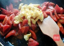 西红柿鸡蛋的做法图解9