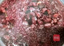 桑葚果汁的做法图解5