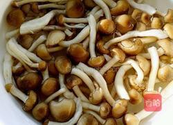 蚝油莴笋炒鸡腿菇的做法图解2