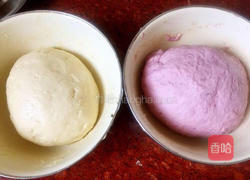 双色黄油面包的做法图解5