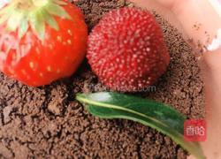 酸奶木糠杯的做法图解3