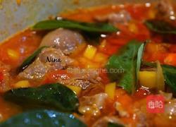 西红柿牛腩的做法图解12