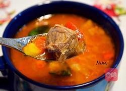 西红柿牛腩的做法图解13