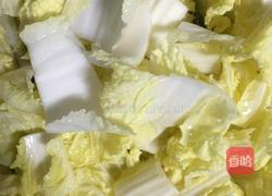 老厨白菜粉的做法图解2