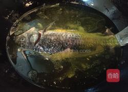 炖鲫鱼汤的做法图解4