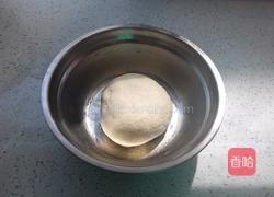 茄子包子的做法图解1