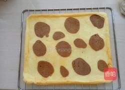 豹纹奶油蛋糕卷的做法图解19