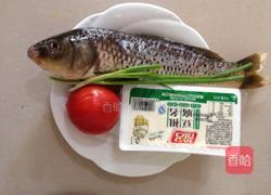 炖鲤鱼的做法图解1