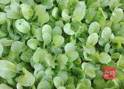 青菜肉丝汤面的做法图解8