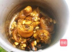 花生炖猪蹄的做法图解14