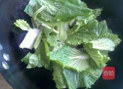 小白菜炖豆腐的做法图解3