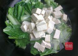 小白菜炖豆腐的做法图解4