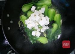 青菜豆腐的做法图解7