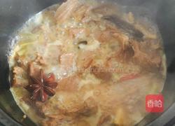 土豆炖羊肉的做法图解9