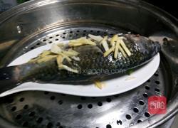 凉拌鲫鱼的做法图解7