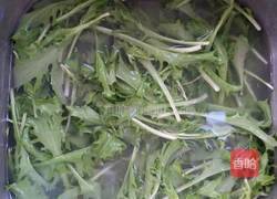 丁香鱼拌苦菊的做法图解2