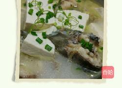 鱼炖豆腐的做法图解15