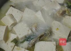 鱼炖豆腐的做法图解12