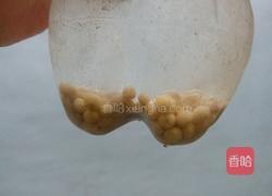 自发黄豆芽的做法图解1