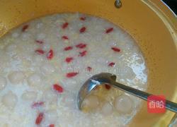 酒酿圆子的做法图解17