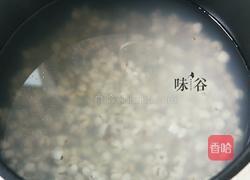 柠檬薏米水的做法图解4