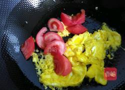 家常番茄鸡蛋面的做法图解4