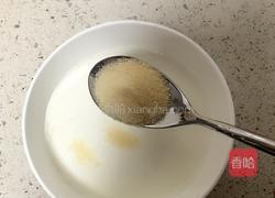 木瓜牛奶冻的做法图解2