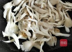 素炒平菇的做法图解4