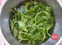 凉拌穿心莲的做法图解1